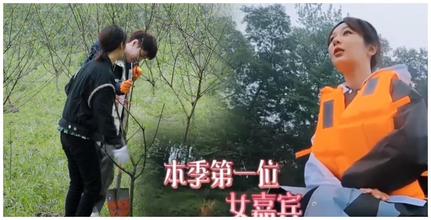 杨紫飞行喊狗小八小H,张艺兴一改常态撒糖,两人无法公开有苦衷