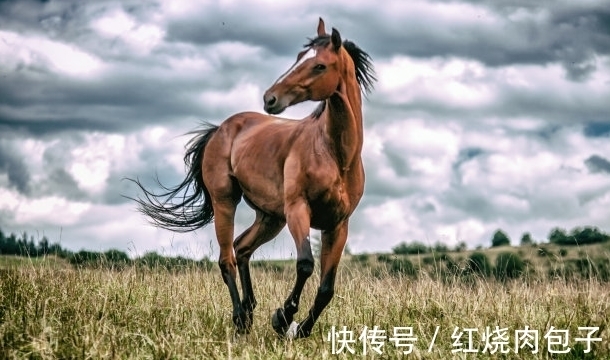 运势|8月10号开始，运势很旺，前有贵人后有财源，日子过得很好