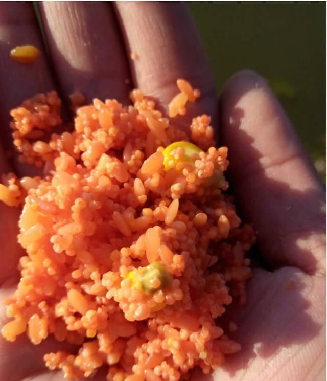 钓友|打窝了却没鱼进窝不一定是窝料不行，多半是这几个原因在拖后腿