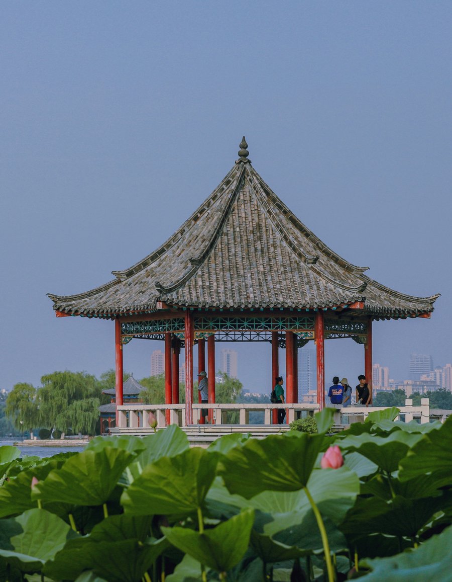 荷花|这座齐鲁古城已美了上千年，四季绚烂皆美景！没来过就太遗憾了