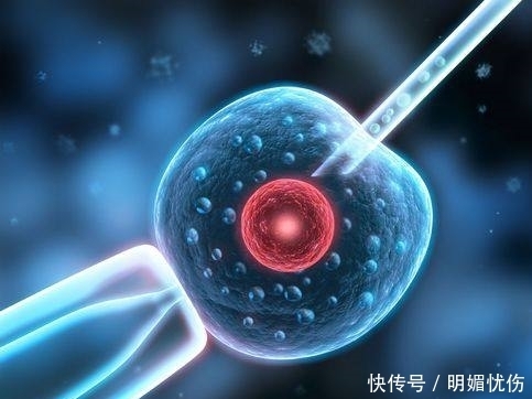 健康精子|试管婴儿是“万能”的吗?你该知道试管的代价!