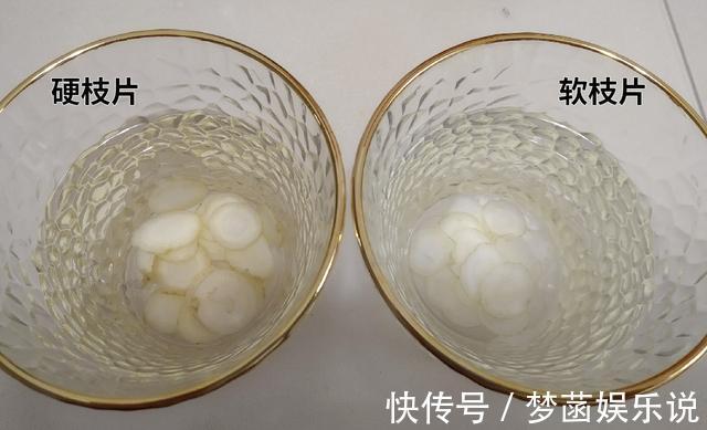 花旗參|西洋參吃了大半輩子，它的內幕：軟枝與硬枝哪個好？沒幾個知道