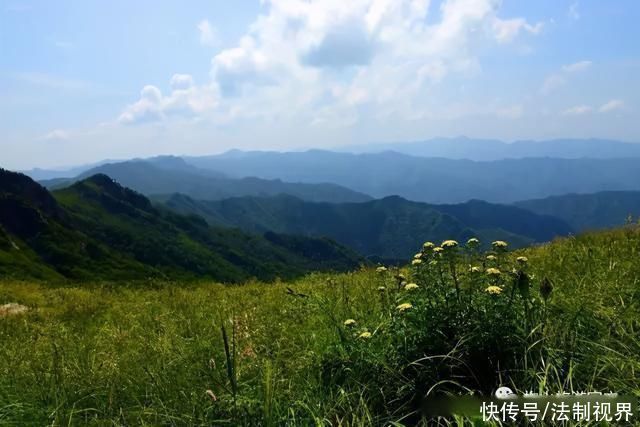 柞水|初夏时节，来柞水感受葱葱绿意~