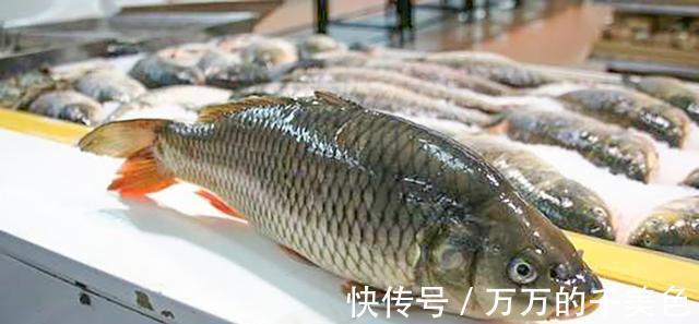 芥末法|活鱼保存,放冰箱直接冻就错了!教你2个妙招,跟活鱼一样新鲜