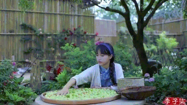 衣服|如果说李子柒的生活对我们不切实际，那她穿的衣服我们倒能学学