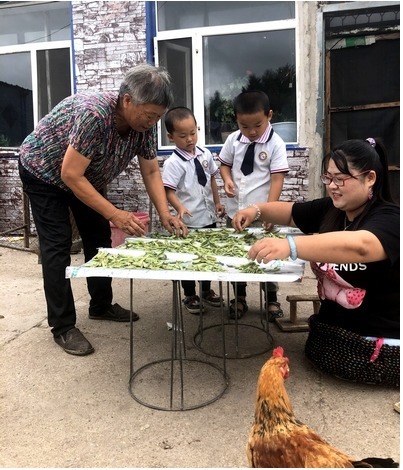 双胞胎儿子|“无腿妈妈”吕娟:不顾医生劝阻坚持生下双胞胎,如今怎么样了?