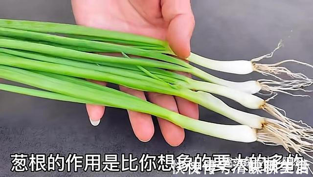 搅拌均匀|扔葱根等于扔钱，葱根原来是个宝，作用这么厉害，太实用了
