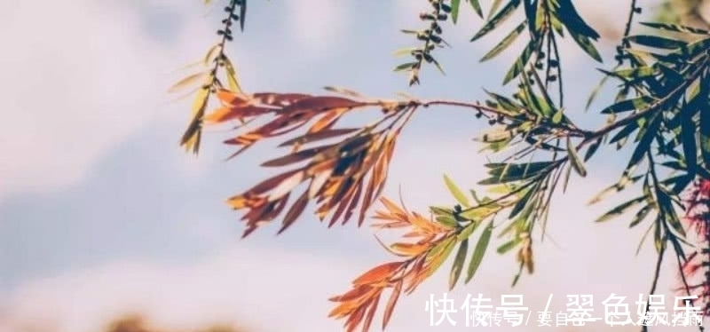 水通|李清照这首诗成为了绝唱,里面句句是经典,成为宋诗里的千古名篇