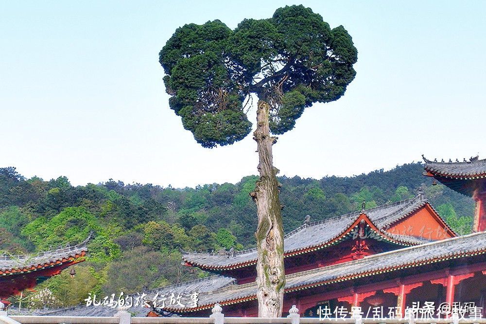 湖北这座寺院 被誉为“中国禅宗第一寺”僧人自耕自足门票免费