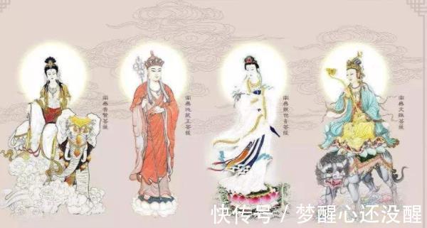 普贤菩萨|四大菩萨各有坐骑,为何唯独谛听不曾下凡?你看它真身是啥?