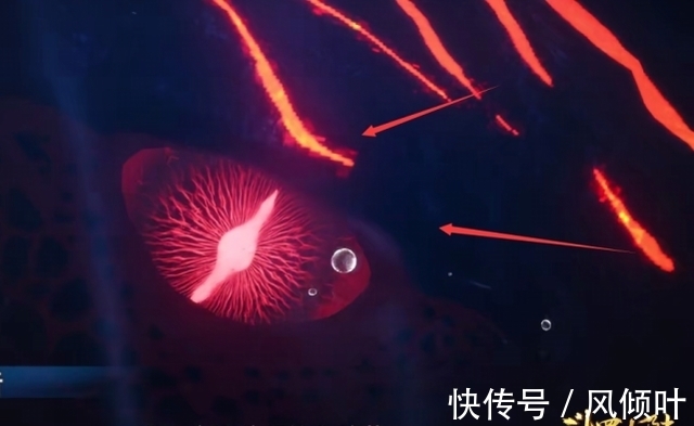 朱竹清|斗罗大陆：百万魂兽深海魔鲸王登场，压迫感十足，小舞差点被吓哭
