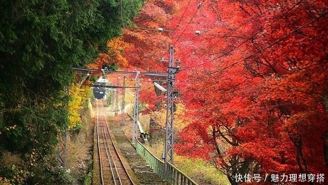 日本|日本京都必去的景点之一，有最长登山铁道和世界文化遗产