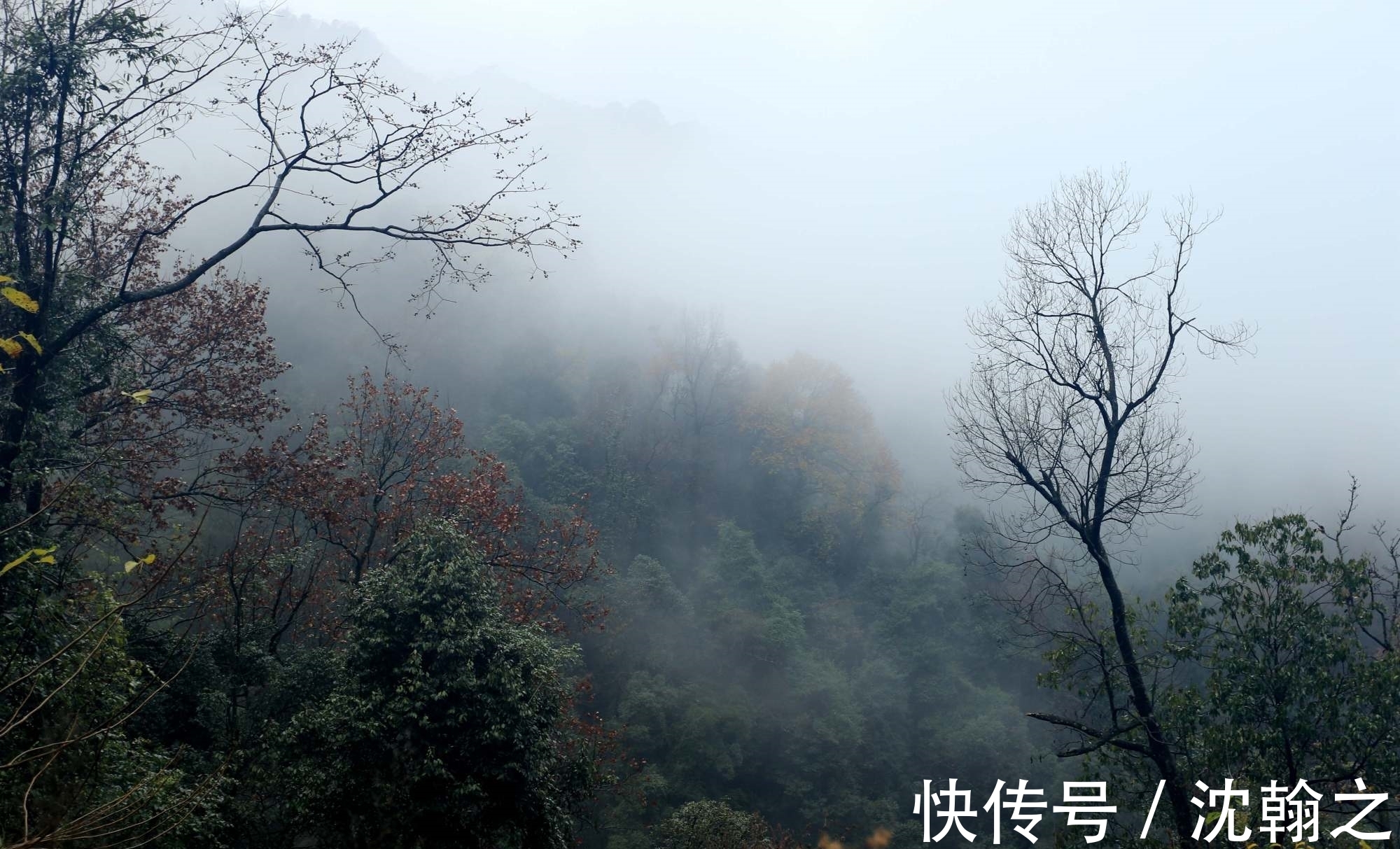 饮酒|秋高气爽的九月，一起到古诗词里登高望远，饮酒赏菊