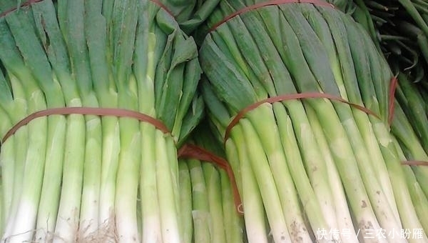 冬季如何储藏保鲜大葱?哪些方法存储效果佳?