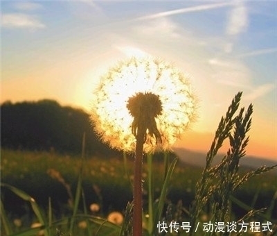 曾国藩|增广贤文五:想要规劝别人,说话要先有分量