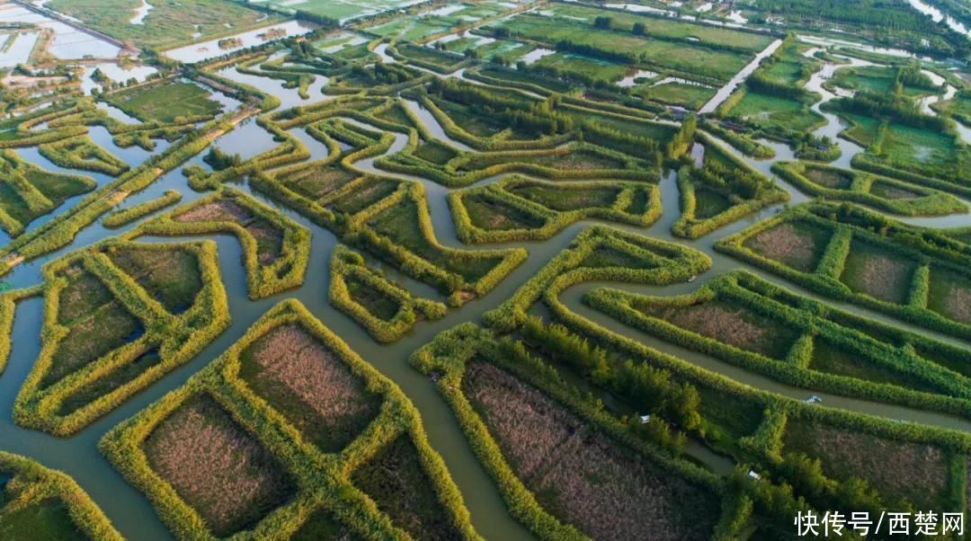 喜讯！洪泽湖湿地景区正式授牌为国家5A级旅游景区，宿迁唯一