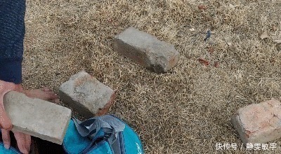 股四头肌|小伙练腿每天做100个深蹲,并逐渐增加训练难度,1个月看腿部变化