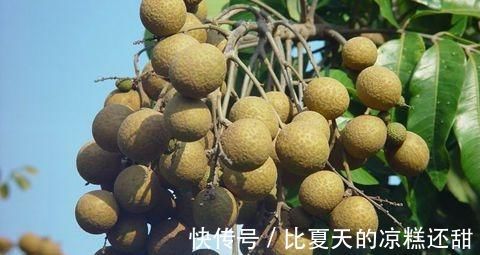 胎儿|孕妇吃螃蟹会流产?别上当了,这8种食物才不能吃,要注意了