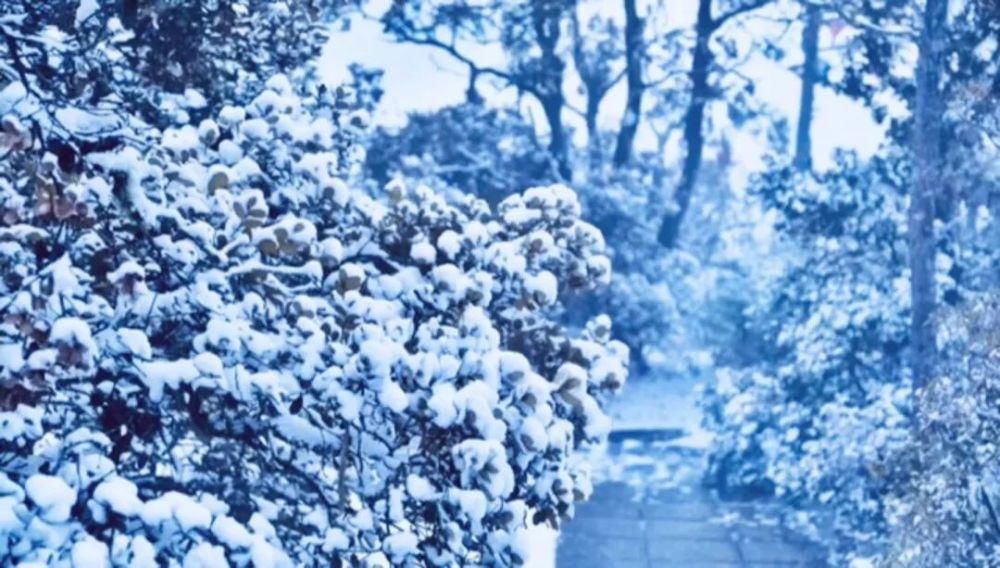 情结|云海与雪景、雾凇齐聚,惊艳了鸡足山的冬天!