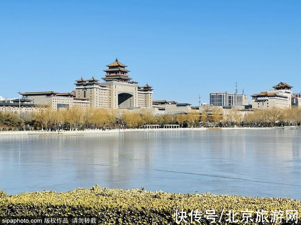 迎春花|虎年的迎春花开了！3月京城即将迎来颜值巅峰~