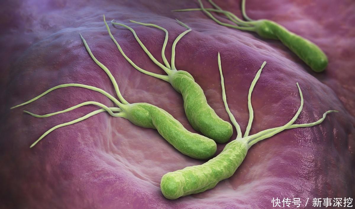 黄金期|消化科专家：饭后是养胃“黄金期”，想养胃，饭后做好2件事