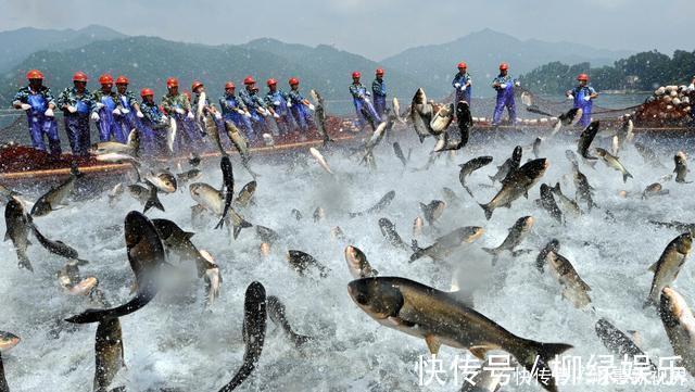 吃鱼越多越好，这4种鱼趁早撤离饭桌，便宜也别买，鱼贩也很少吃