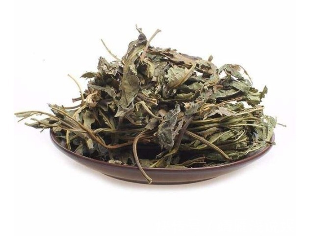 桑叶茶|秋后经霜的桑叶,被古人称为“神仙叶”,若常服二桑,可返老还童