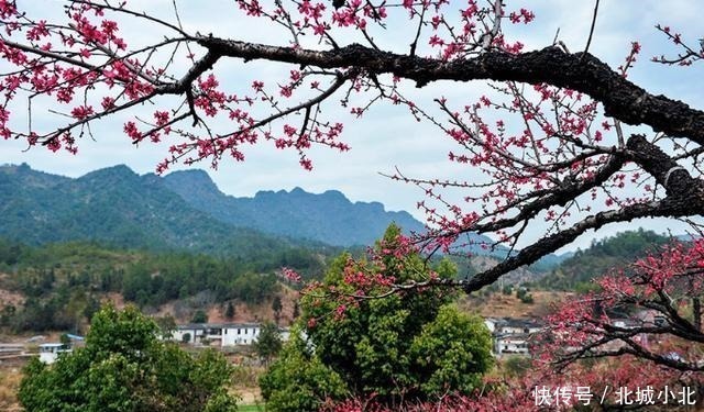  庄周|李白的“大鹏一日同风起，扶摇直上九万里”，是指庄周的大鹏吗