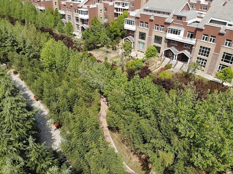 因素|售楼小姐建议如果户型满足4个条件，恭喜买到真正的好户型