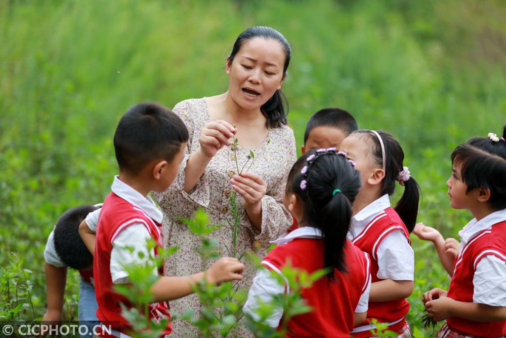 文化|贵州黔西：中草药文化进校园