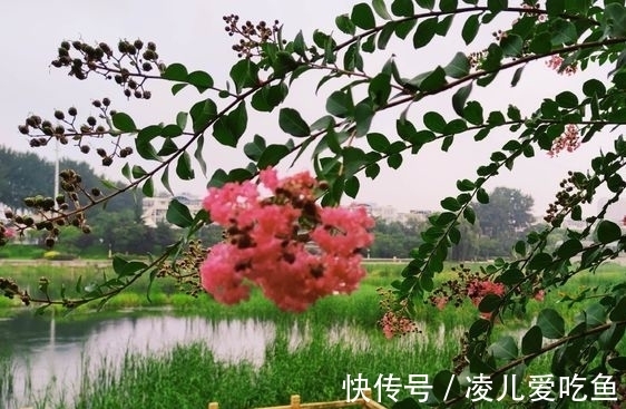 小船@秋雨中的梦(散文)