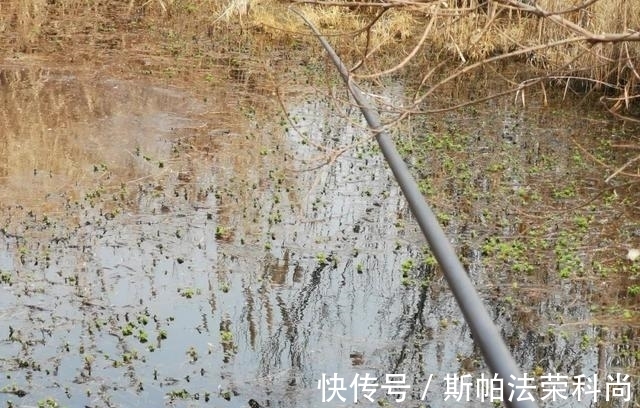 小鲫鱼连杆钓,大鲫鱼不见影?找到原因对症下药才能钓过瘾