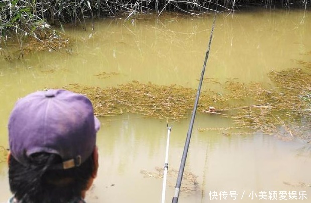 钓鱼|农村小河沟中钓起一条这样的鱼, 我赶紧收杆离开这一水域