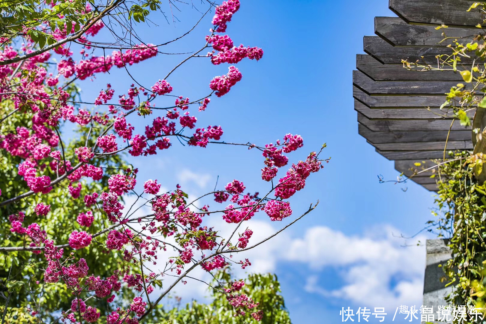 洱海|中国最适宜居住的地方，家家有水，户户有花，无数人的梦想家园