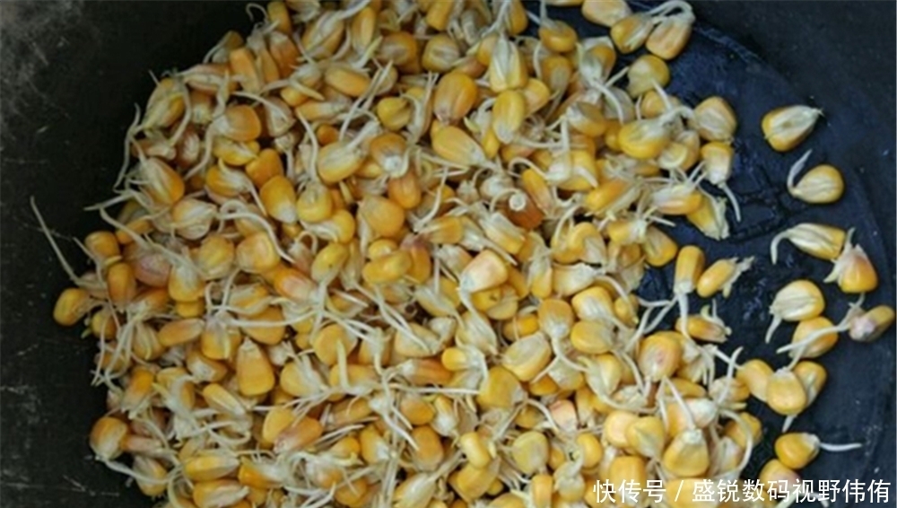 野钓|夏季野钓杂鱼“穷凶极恶”,变饵料未必有效,更靠谱的是变钓法!
