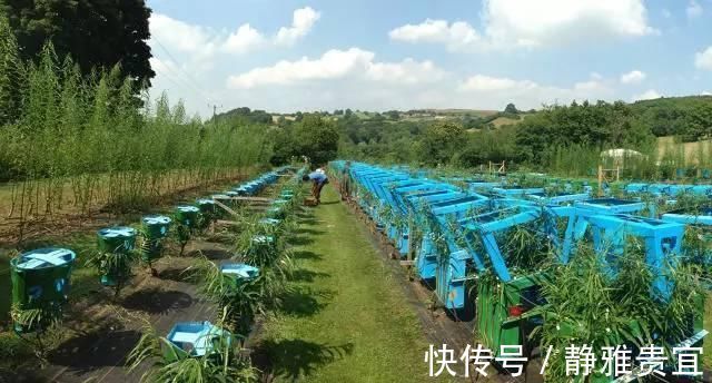 椅子|头一次见这样子的家具，全身上下没有一颗螺丝，生产一把要10年