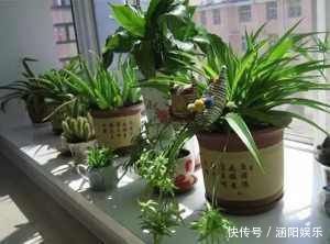 洗发水|洗发水还可以洗亮皮鞋,顺滑拉链,清除油漆……