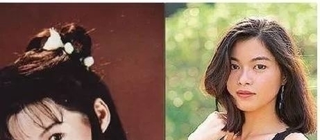 工程师|猎头海天：为什么女明星与程序员容易遭遇中年危机？