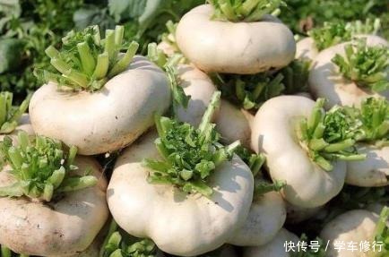 它常被误认成萝卜,我国盛产却没老外吃得多,做成泡菜清香脆甜!