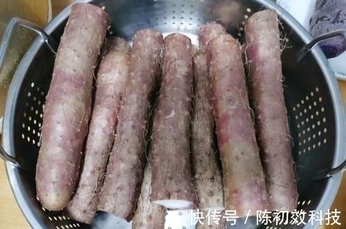 月饼|山药虽好，但是不能和“它”一起吃，吃对了滋补，吃错了易中毒