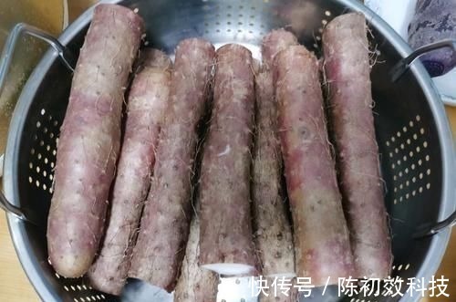 月饼|山药虽好,但是不能和“它”一起吃,吃对了滋补,吃错了易中毒
