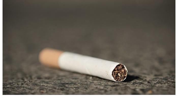 骨质|3位院士声明：九成的骨质疏松不需治疗，常吃1“素”，骨骼自好