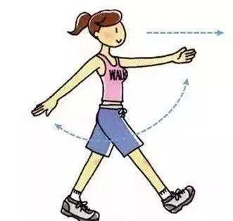 胰岛素|如何掌握健康瘦身的方法