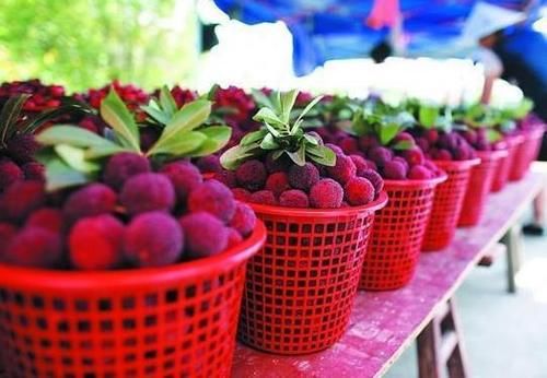 切除|胆囊切除后，是否会影响健康？哪些食物需要忌口？不妨了解下