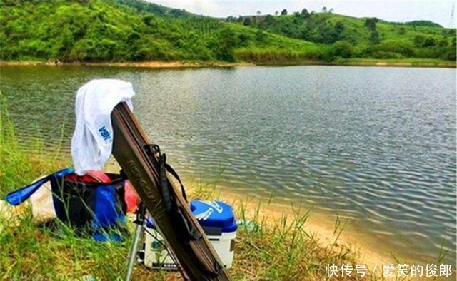 深水|盛夏时节钓鱼,钓深还是钓浅?要看天气和时间,鱼的位置是变化的