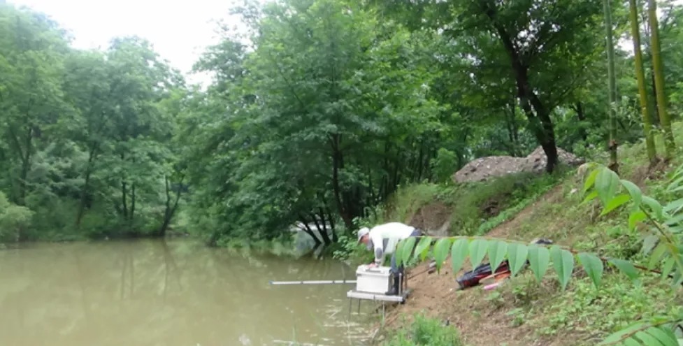 深水|冬天钓鱼五要诀,专攻大板鲫,别错过爆护机会