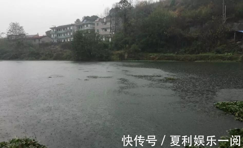 冬钓鲫鱼7个常见问题,早知道答案,也不会三天两头空军了