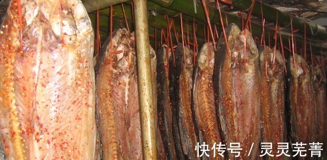 污染|这几类鱼尽量少吃,或对身体不利,不妨了解一下!