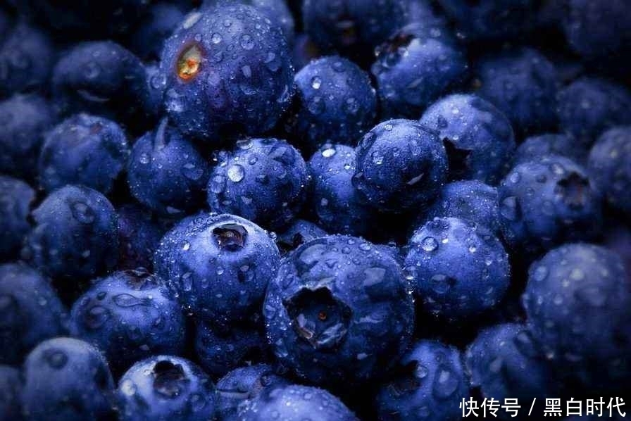 走进蓝莓,令人垂涎的蓝莓,到底有什么营养价值?