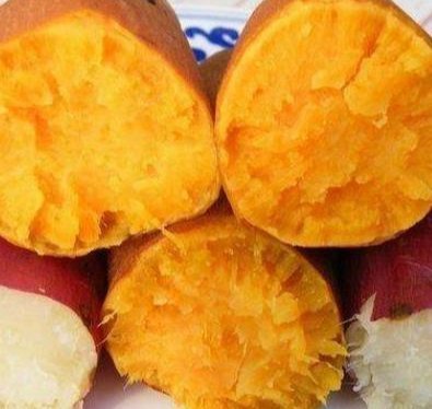 钓鱼|野钓饵料就用它,对大鲤鱼有致命诱惑,抛竿就黑漂上鱼!